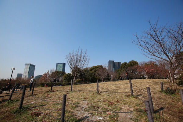 緑の丘が広がる「西郷山公園」まで約570m(徒歩8分)。