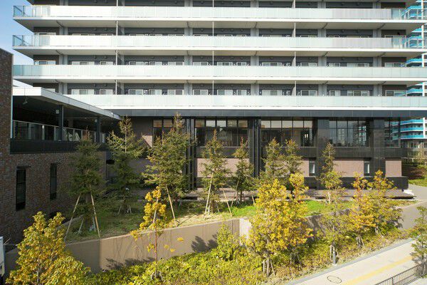 四季折々の風景が楽しめる季節を彩るガーデンを整備。