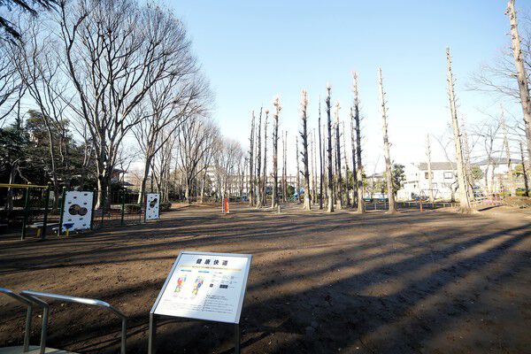ジョギングコースとしても人気の「別所沼公園」まで約1,500m（徒歩19分）。		