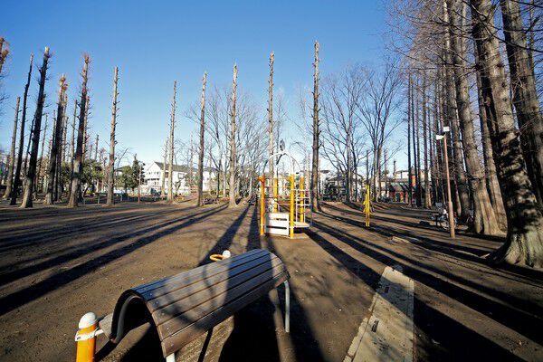 散歩にもぴったりな「別所沼公園」まで約1,500ｍ（徒歩19分）。		