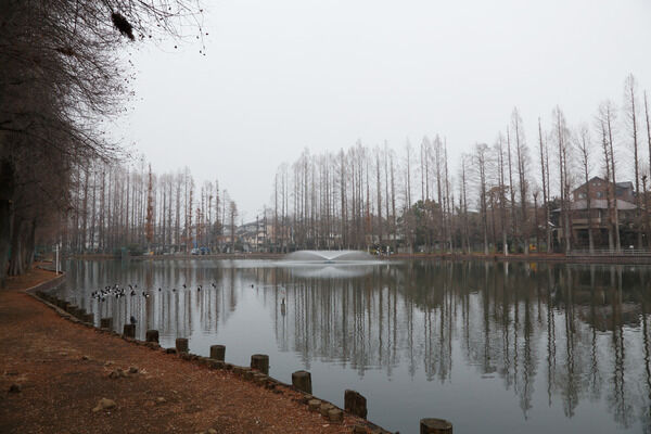 水と緑が調和する「別所沼公園」まで約400ｍ（徒歩5分）。		