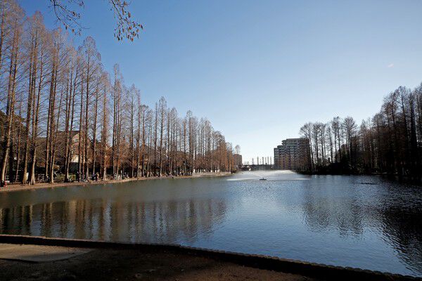 豊かな水と緑を湛えた「別所沼公園」まで約1,600ｍ（徒歩20分）。		