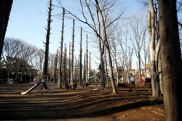 木々に囲まれた「別所沼公園」まで約1,300m（徒歩16分）。		