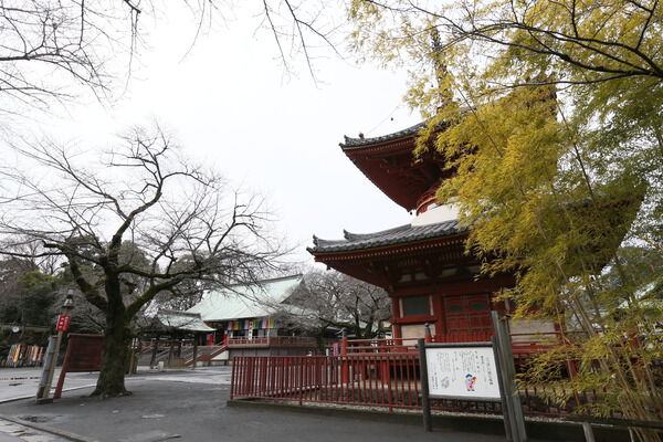 歴史の風情が薫る「喜多院」へは約1,300m（徒歩17分）です。		