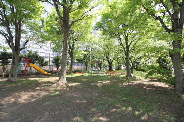 川口2丁目公園　現地より約50ｍ