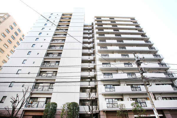 【川口パークホームズセンターコート】自然光が差し込み風通しもよい窓からの眺め。		