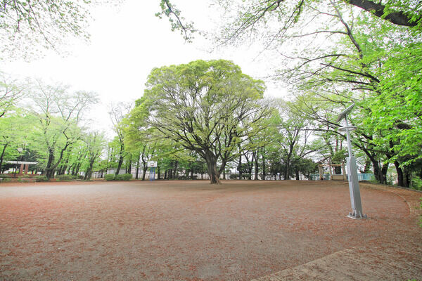 北野公園　現地より約50m