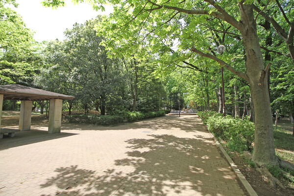 東所沢公園　現地より約100m