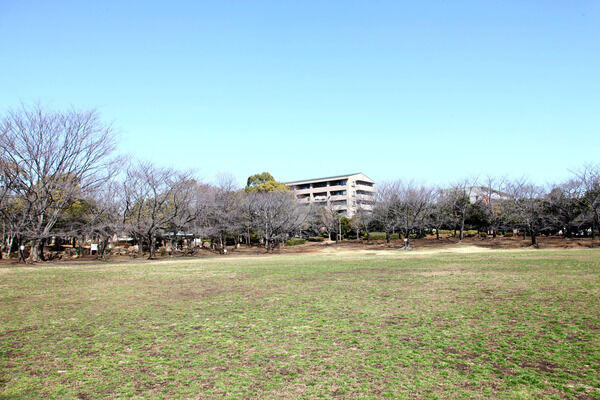 桜祭りで有名な「蕨市民公園」まで約900m（徒歩12分）。		