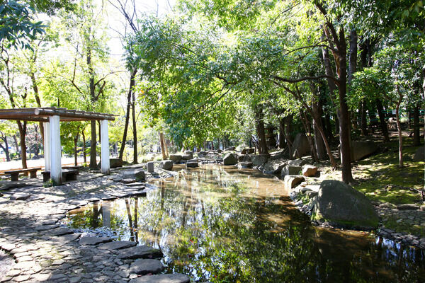 豊かな緑に包まれた「後谷公園」まで約320m（徒歩4分）。		