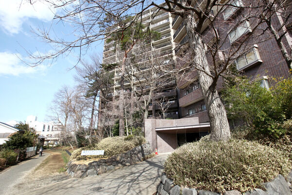 遊歩道からエントランスへ続くアプローチ。