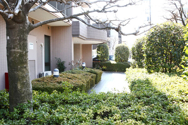 エントランス周辺は実に緑豊かで住む人、訪れる人の心を癒してくれます。