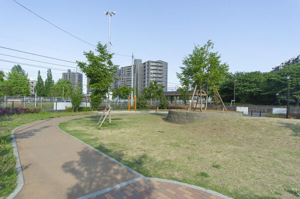 南むさしの公園　現地より約30m