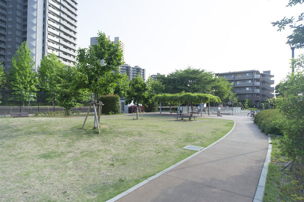 南むさしの公園　現地より約30m