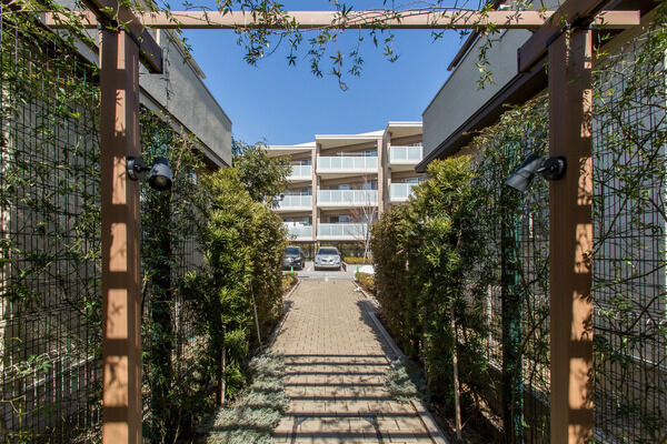 遊歩道は緑あふれ、生活の中に自然を感じることができます。