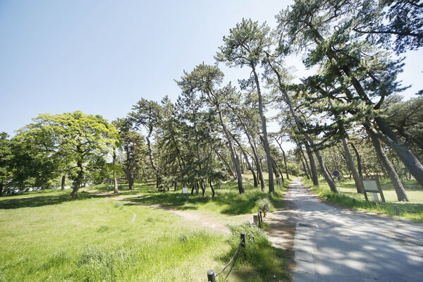 稲毛公園　現地より約250m