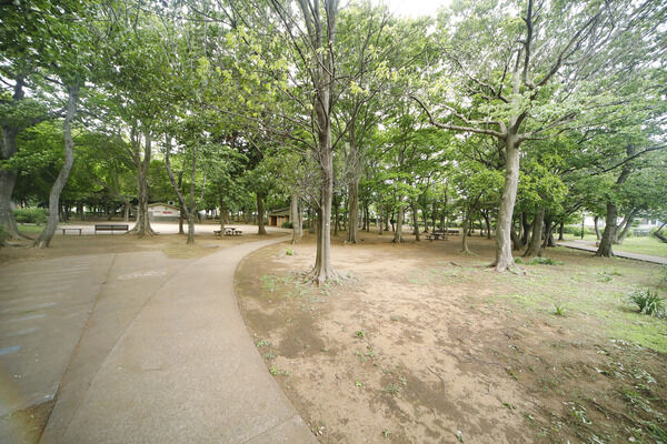 長沼町公園 現地より約300m 長沼町公園 現地より約300m