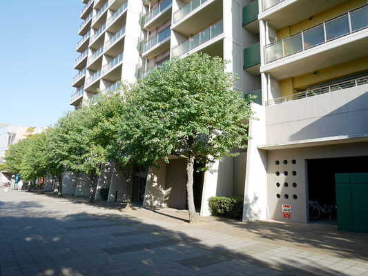 四季を感じる植栽が、日々に潤いとやすらぎをもたらします。 四季を感じる植栽が、日々に潤いとやすらぎをもたらします。