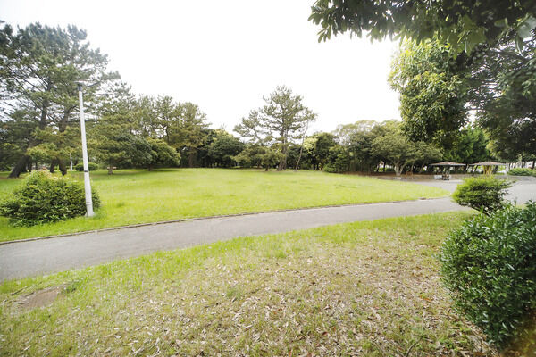 真砂中央公園　現地より約150m