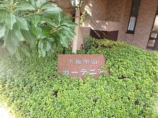 下総中山ガーデニア