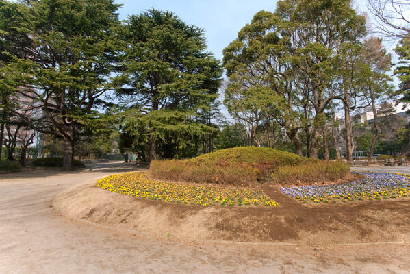 テニスコートを完備した「松戸中央公園」まで約600m（徒歩8分）。
