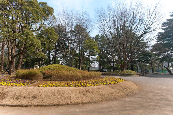 豊かな緑とプール・テニスコートのある「松戸中央公園」まで約600m（徒歩8分）。