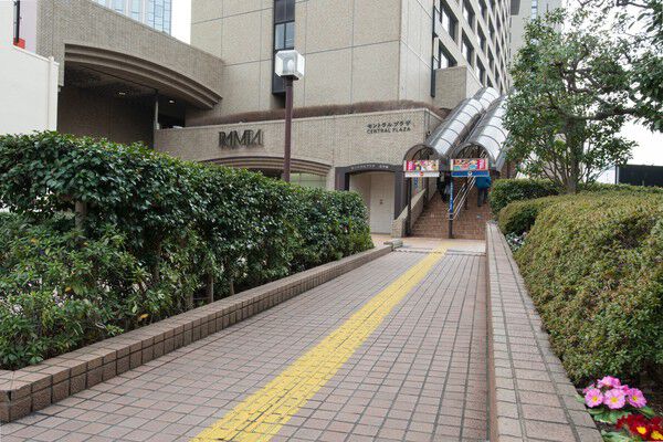 アプローチを兼ねたオープンスペースには常緑の植栽。		