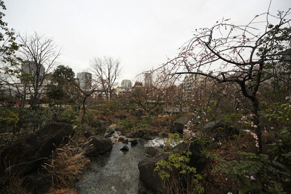 東京ミッドタウンに隣接する「檜町公園」まで約850m（徒歩11分）。		