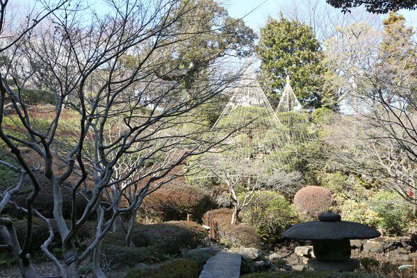 四季折々の花が美しい「池田山公園」まで約2,000m(徒歩25分)。		 四季折々の花が美しい「池田山公園」まで約2,000m(徒歩25分)。