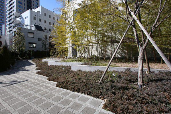 竹林や常緑樹など、緑溢れる中庭には健やかな空間が広がります。		