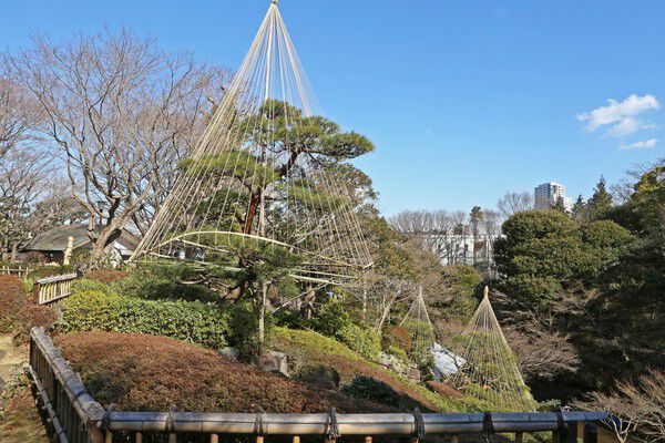 四季折々の花が美しい「池田山公園」まで約770m（徒歩10分）。		