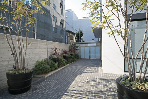 シンボルツリー「シマトネリコ」のゲートに誘われるエントランス。