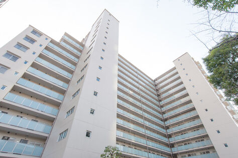 伸びやかに広がるシンプルな建築デザイン。		