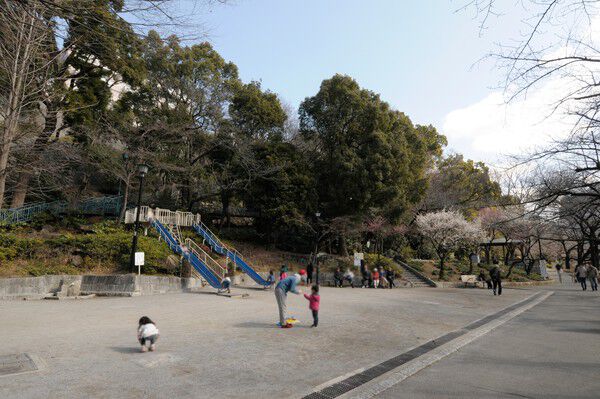 春は桜が咲き誇る「江戸川公園」まで約180m(徒歩3分)。 春は桜が咲き誇る「江戸川公園」まで約180m(徒歩3分)。