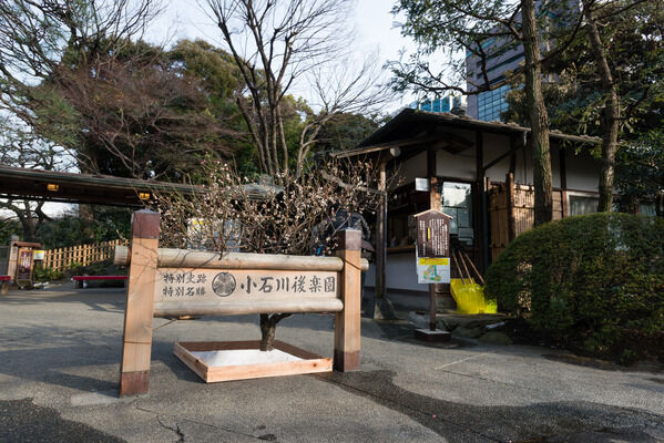 紅葉の名所「小石川後楽園」まで約730m（徒歩10分）。