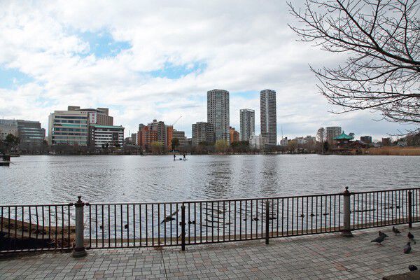 約2,100m（徒歩27分）の「上野恩賜公園」の不忍池から眺めた景観。		