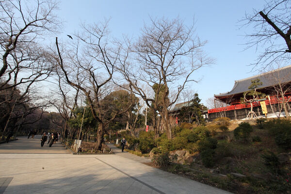 「上野恩賜公園」まで約780m（徒歩10分）。		