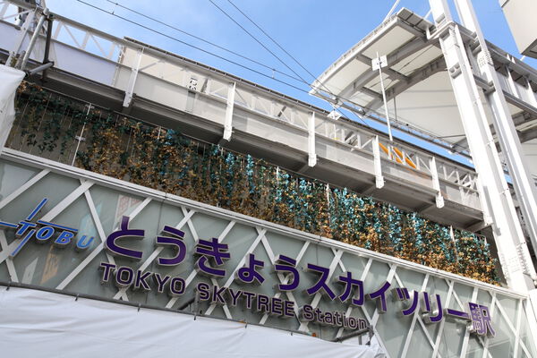 東武伊勢崎線「とうきょうスカイツリー」駅は、徒歩10分。