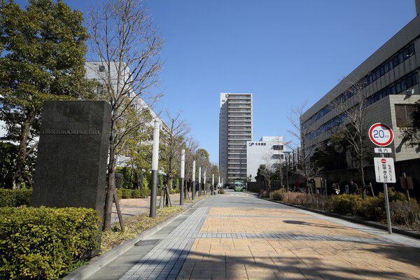 最初のゲートから長く続くアプローチは公園の遊歩道のようにゆとりある気分で歩ける。