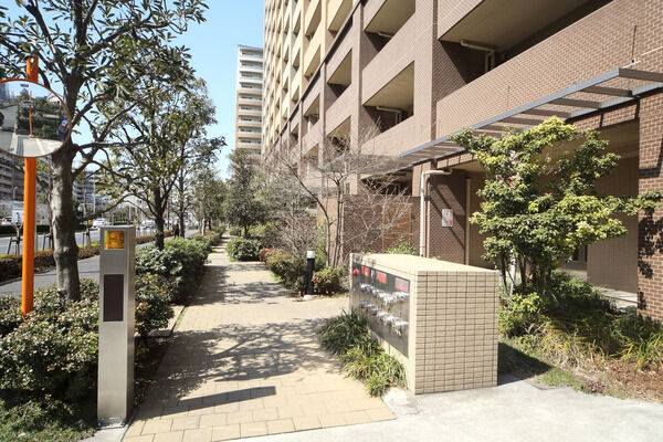 アプローチには、植栽の足元に涼しげな水をたたえる水盤を設置。 アプローチには、植栽の足元に涼しげな水をたたえる水盤を設置。