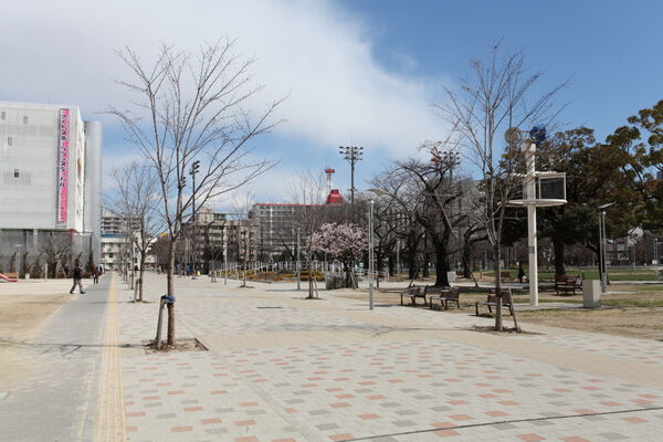 オフには、「錦糸公園」で心身ともにリフレッシュできます。		