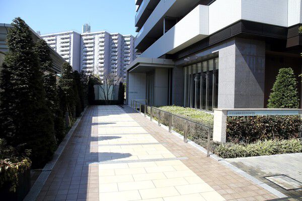 南側エントランスへ通じるアプローチは豊かな緑に包まれている。		