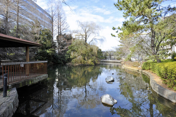 「横十間川親水公園」までは、約20m（徒歩1分）。