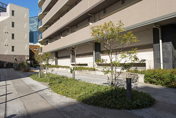 周辺の植栽が、シャープな都市空間に潤いを与えます。