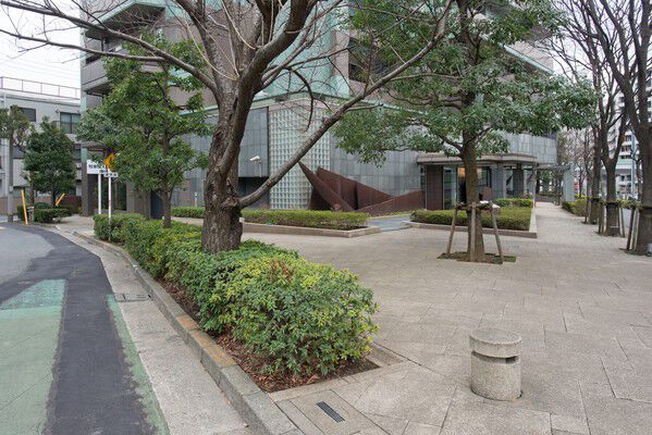 エントランスホールへ続くファサードには手入れの行き届いた植栽や木立が並びます。 エントランスホールへ続くファサードには手入れの行き届いた植栽や木立が並びます。