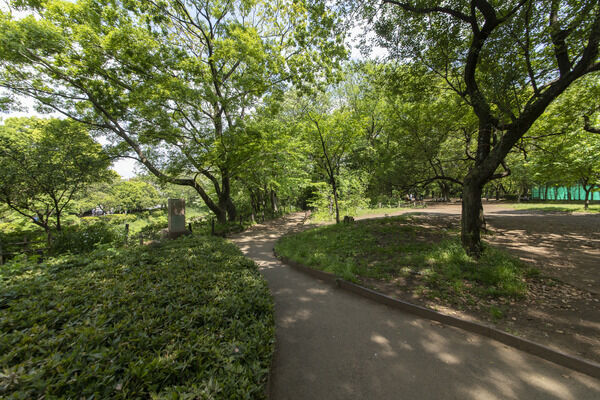 駒場野公園　現地より約50m