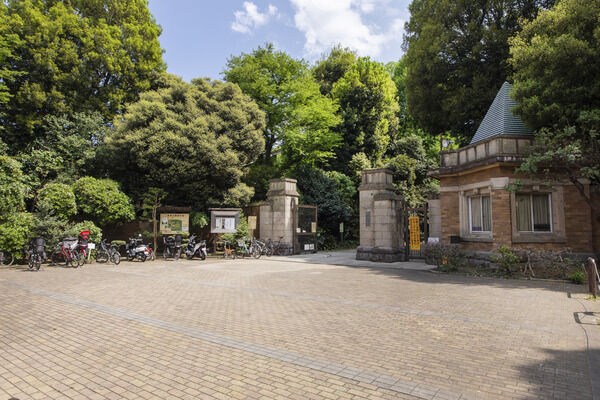 駒場公園　現地より約20m