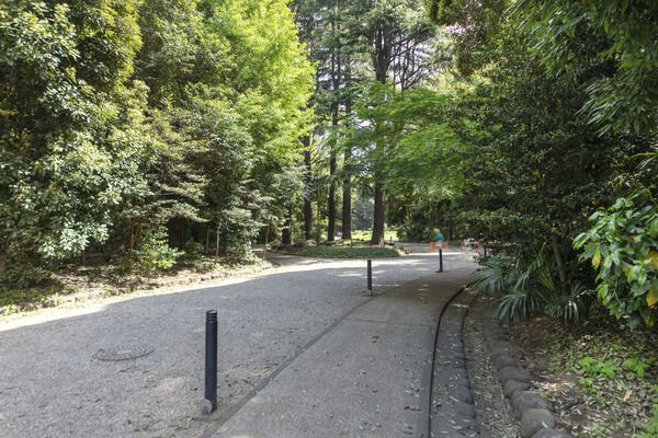 駒場公園　現地より約20m