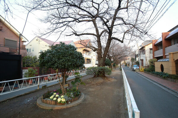 風情のある「呑川本流緑道」は約400m（徒歩5分）。		