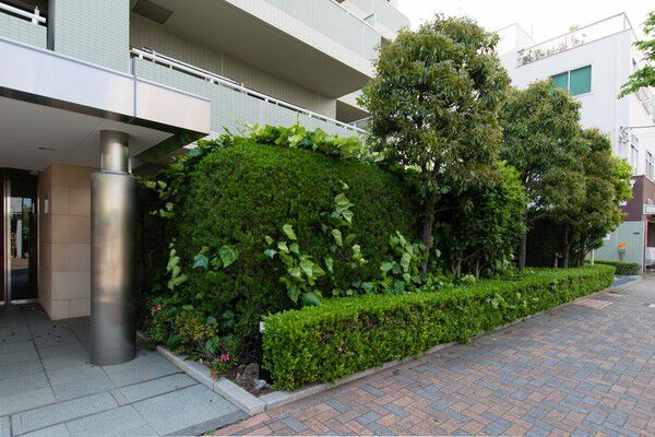 周囲への調和と、住む人のプライバシーにも配慮した植栽計画。		